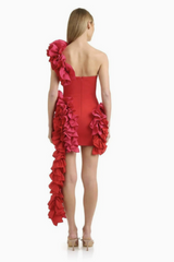 Ruffle Trim Bodycon Mini Dress