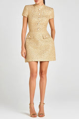 Embellished Mini Dress in Gold