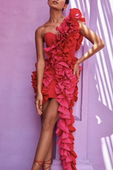 Ruffle Trim Bodycon Mini Dress
