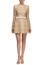 Anslie Lace Mini Dress
