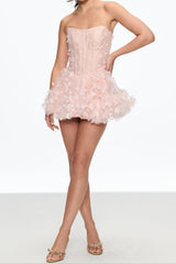 Corset Puffy Mini Dress in Pink
