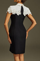 Collar Flower Mini Dress In Black