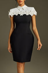 Collar Flower Mini Dress In Black