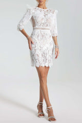 Lace-Embroidered Mini Dress