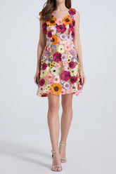 3d Floral Lace Mini Dress in Apricot