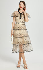 Floral Embroidery Mesh Midi Dress in Apricot
