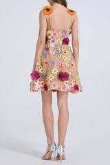 3d Floral Lace Mini Dress in Apricot