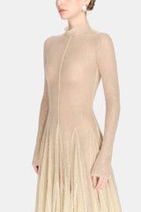 Beige Mesh Long Sleeve Slim Maxi Dress