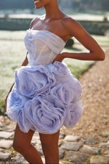 Organza Mini Dress