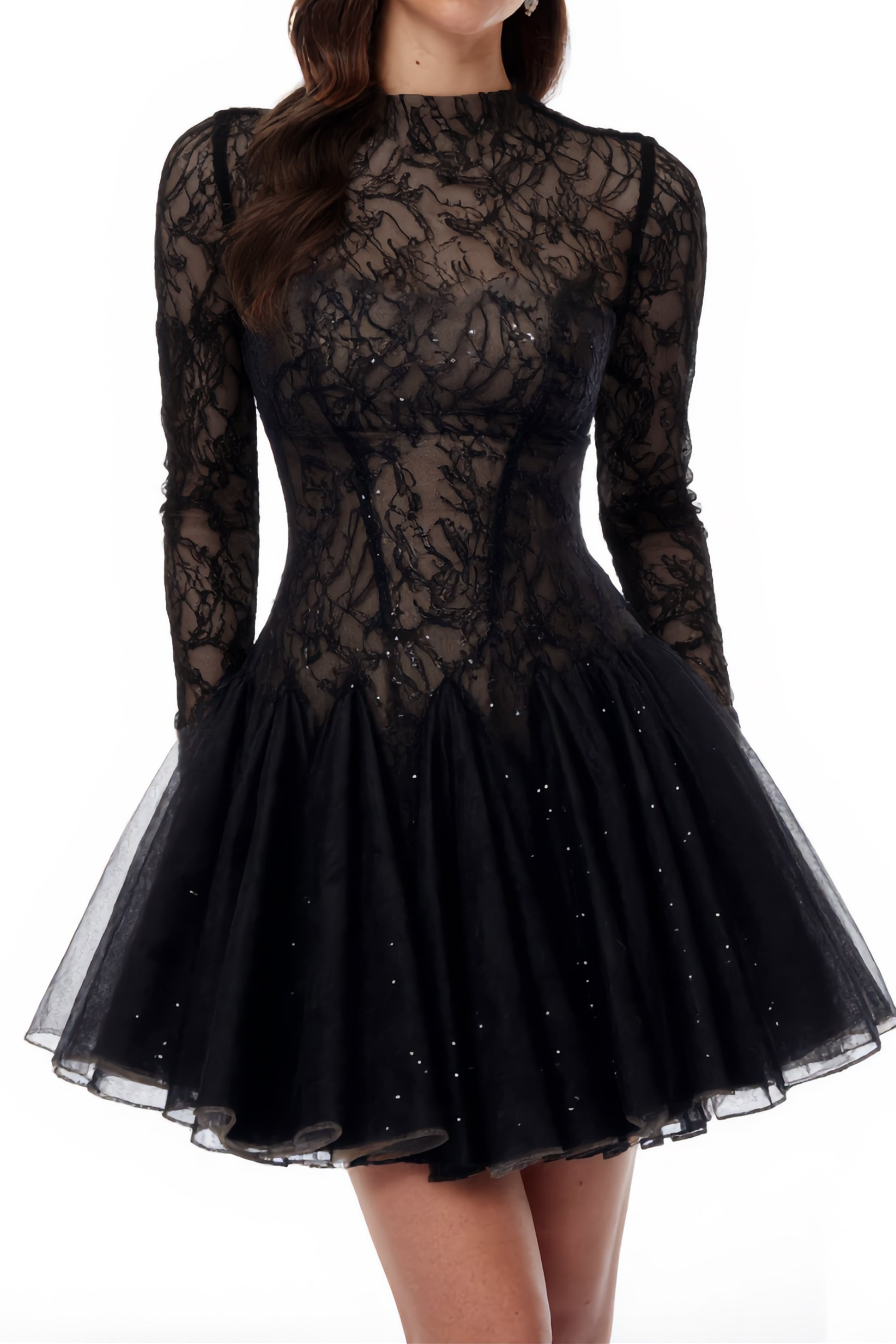 Black Sheer Lace High Neck Long Sleeve Mini Dress