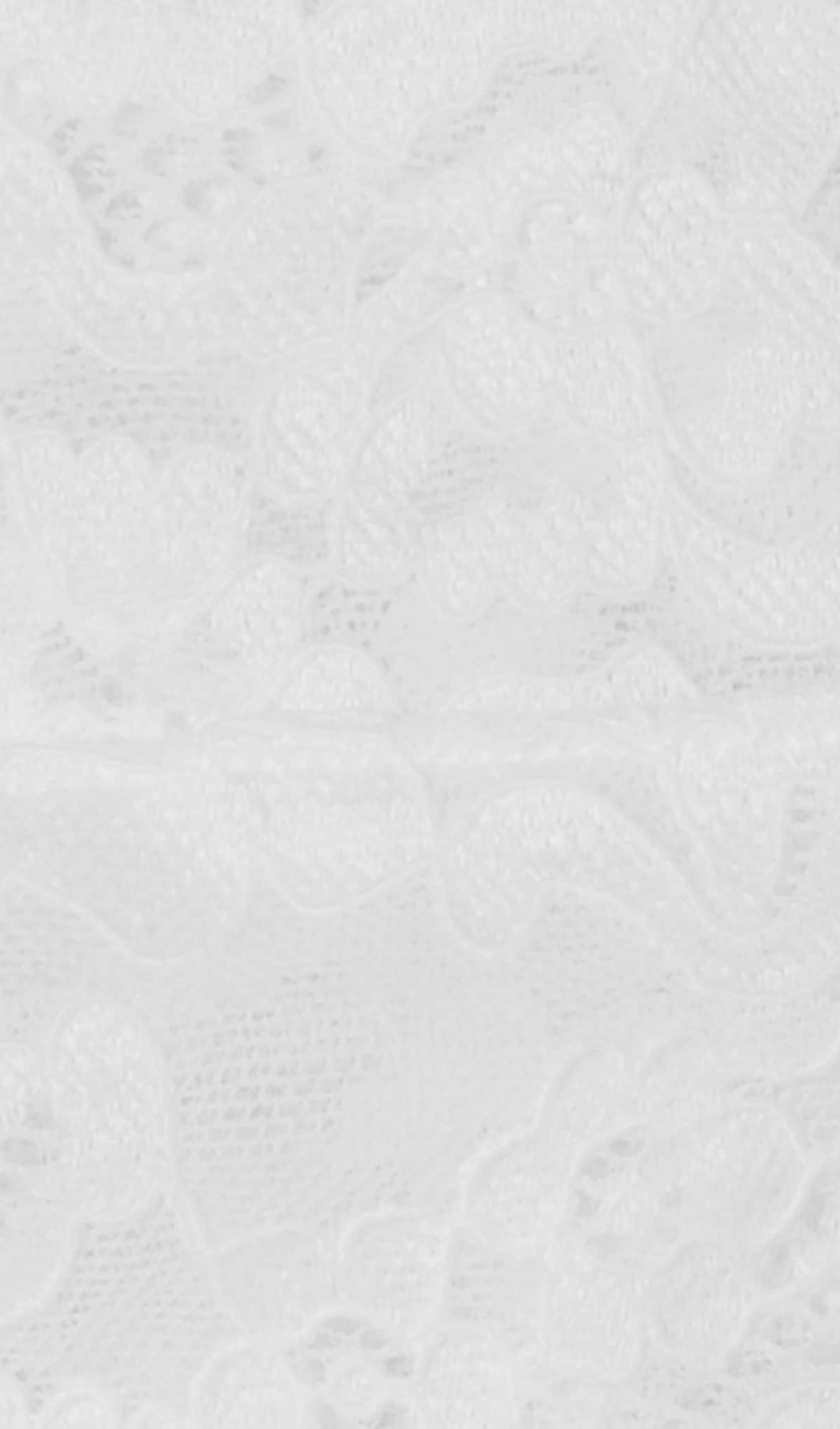 Lace Neckline Mini Dress