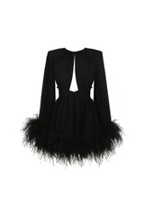 Feather Trim Dress