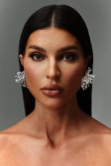 Tassels Fireworks Earrings