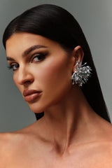 Tassels Fireworks Earrings