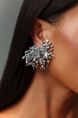 Tassels Fireworks Earrings