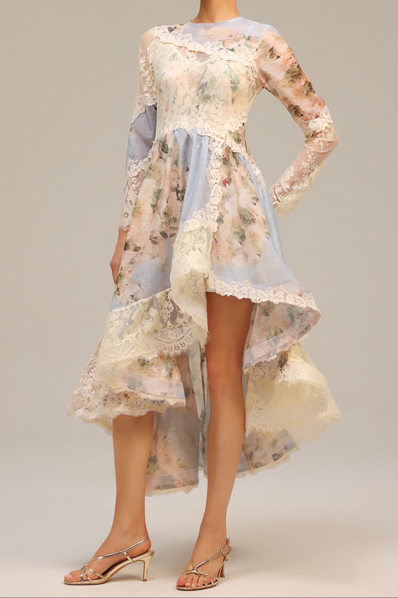 Long Sleeves Floral Printed Lace Maxi Dress