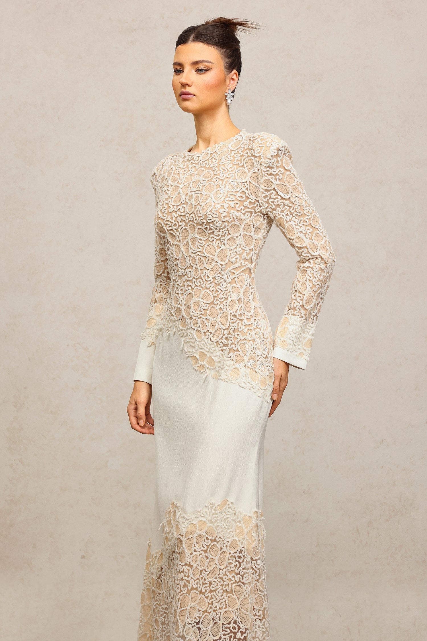 Beige Lace Embroidered Long Sleeve Maxi Dress