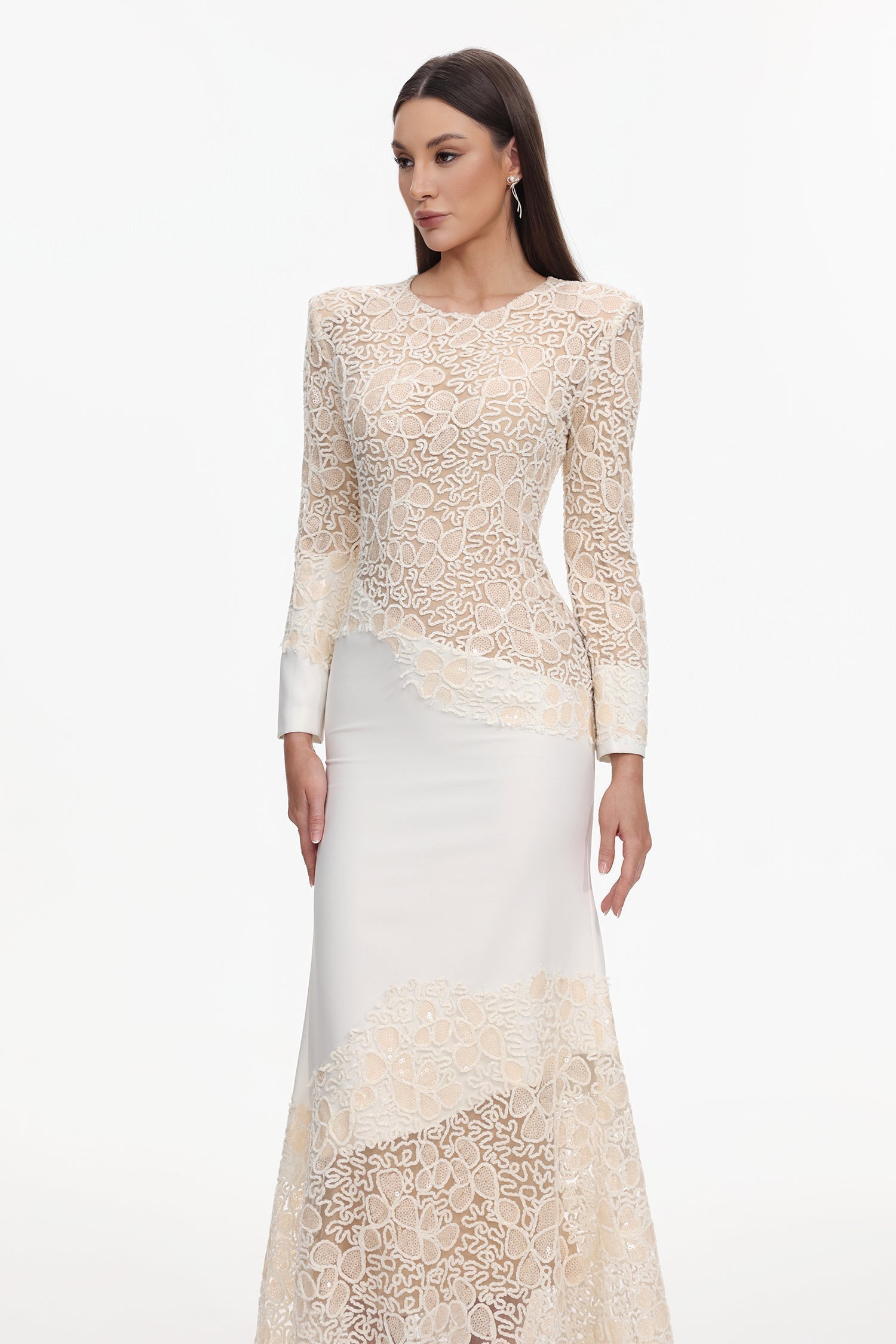 Beige Lace Embroidered Long Sleeve Maxi Dress