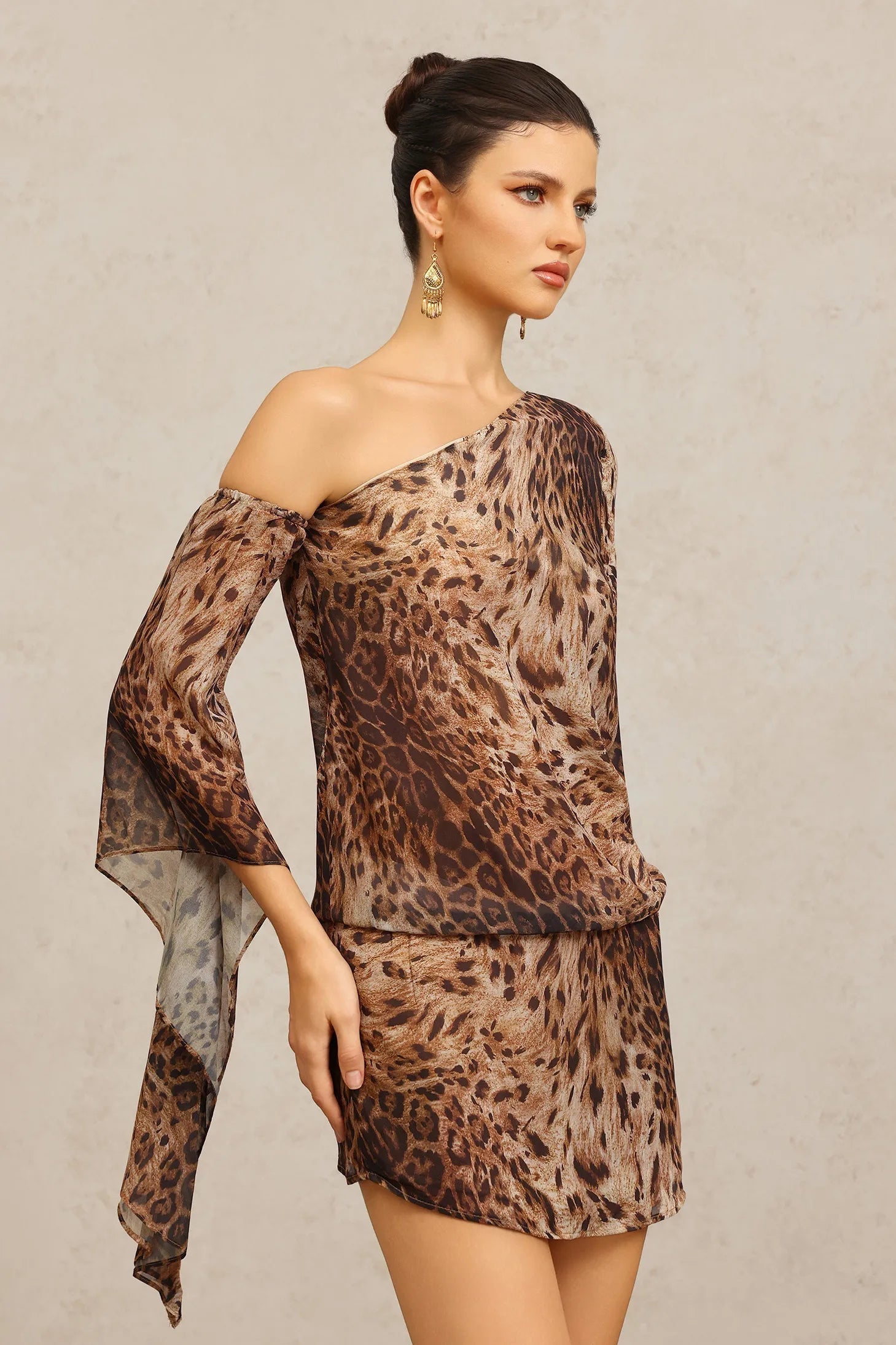 Long Sleeves Print Mini Dress in Brown