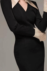 Black Collar Long Sleeve Dress