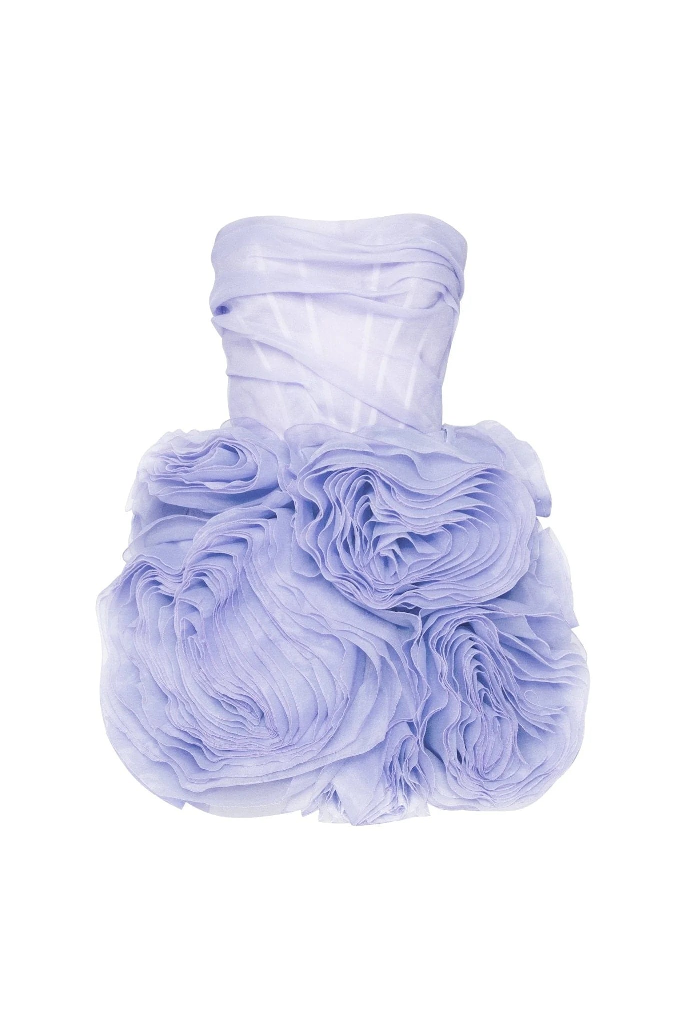 Organza Mini Dress