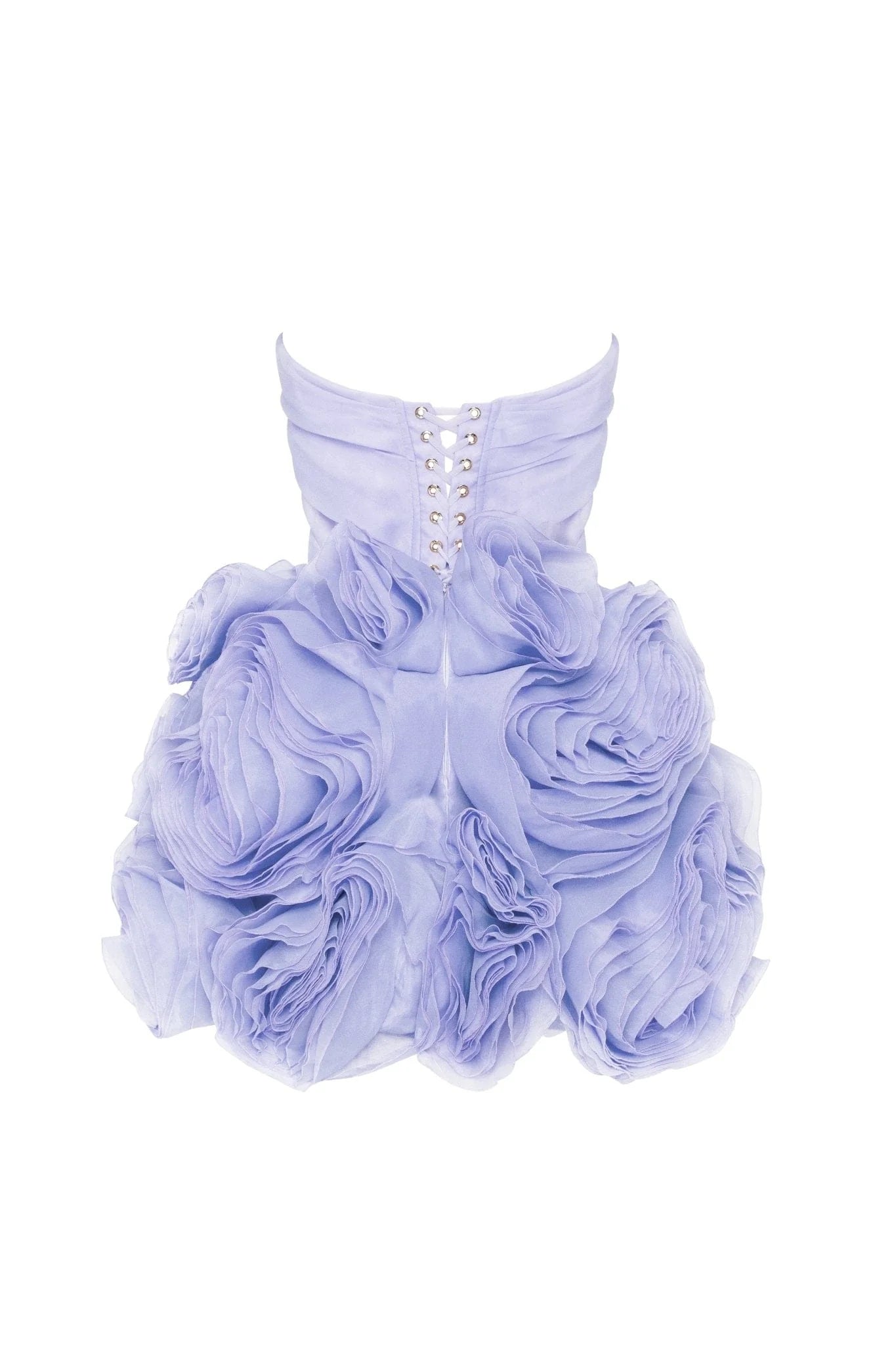 Organza Mini Dress