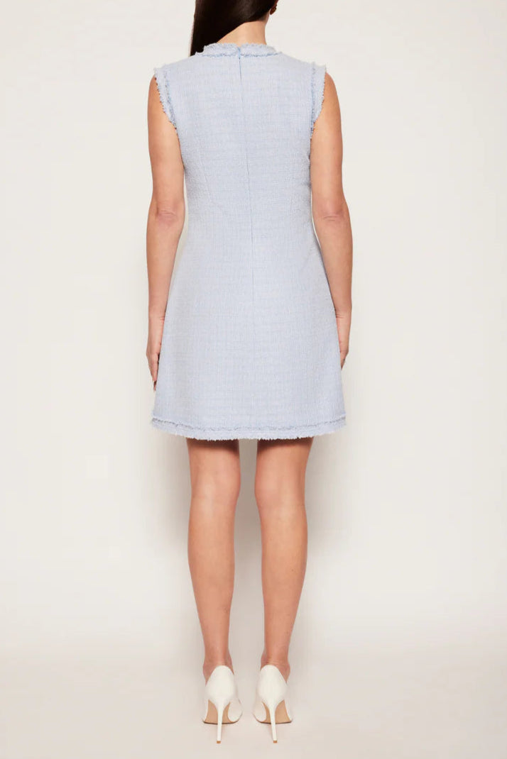 Sleeveless Mini Dress in Blue