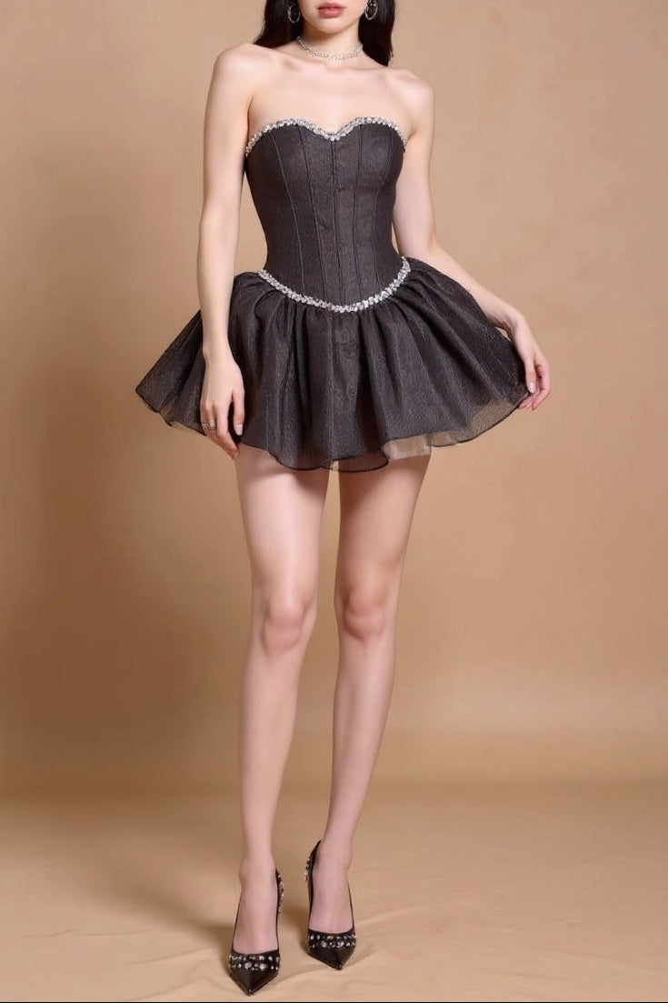 Top Fishbone Mesh Mini Dress in Black