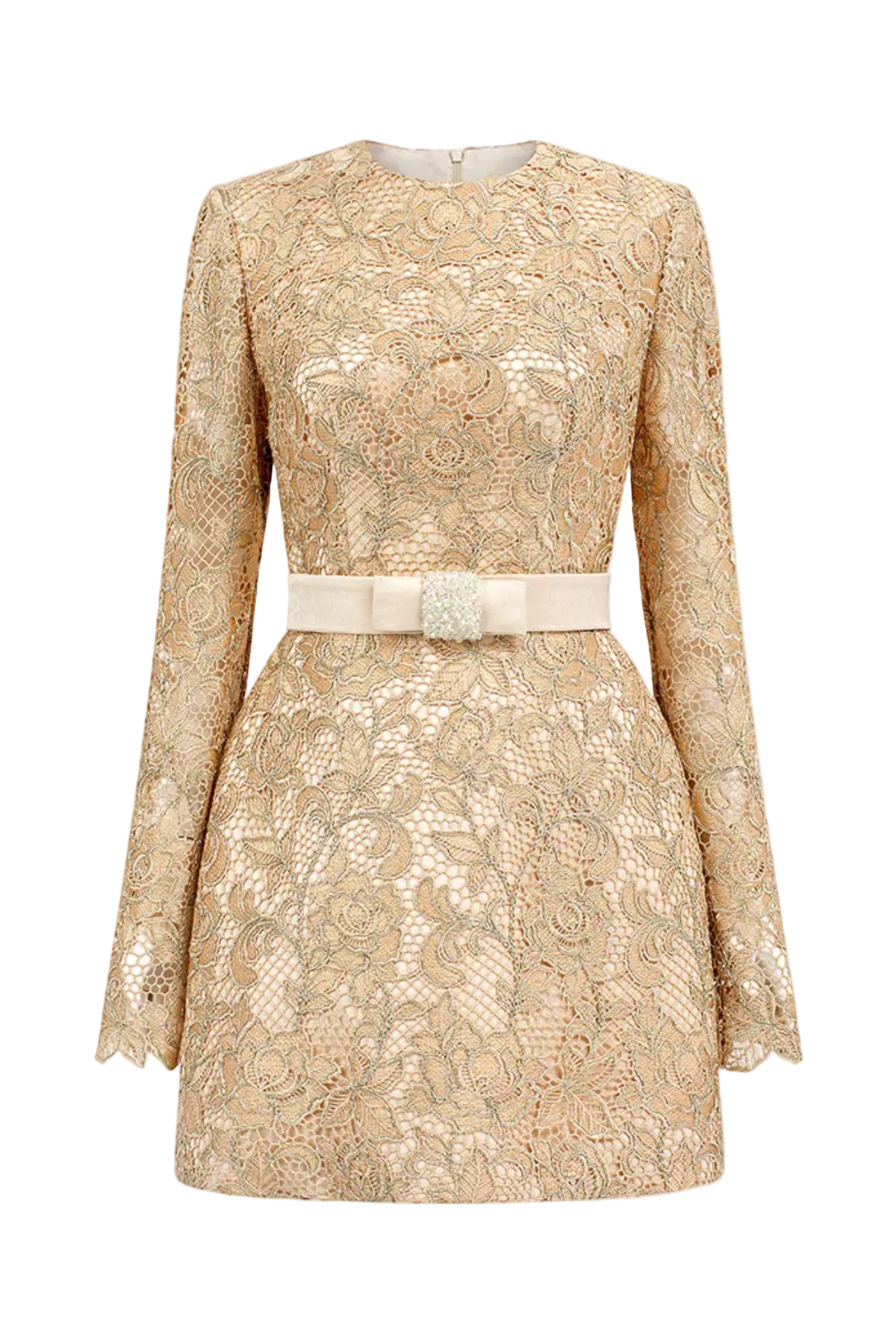 Anslie Lace Mini Dress
