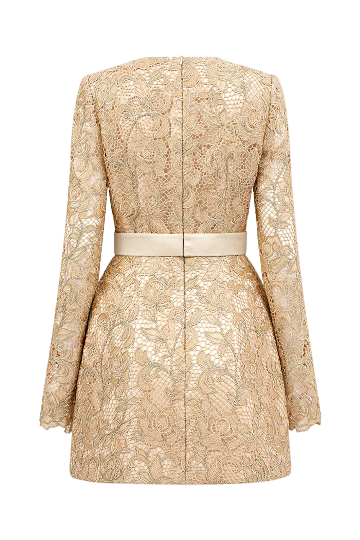 Anslie Lace Mini Dress