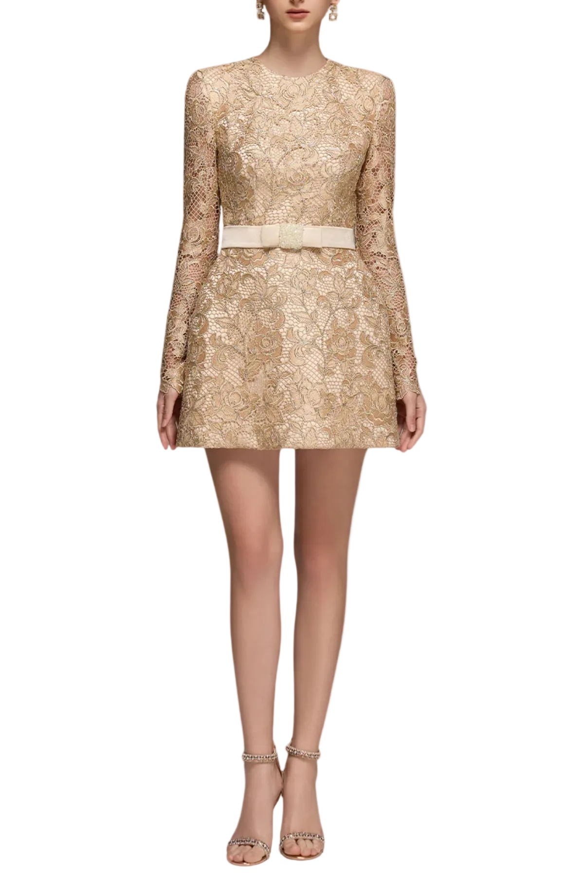 Anslie Lace Mini Dress