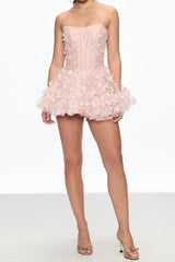 Corset Puffy Mini Dress in Pink