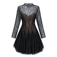 Black Sheer Lace High Neck Long Sleeve Mini Dress