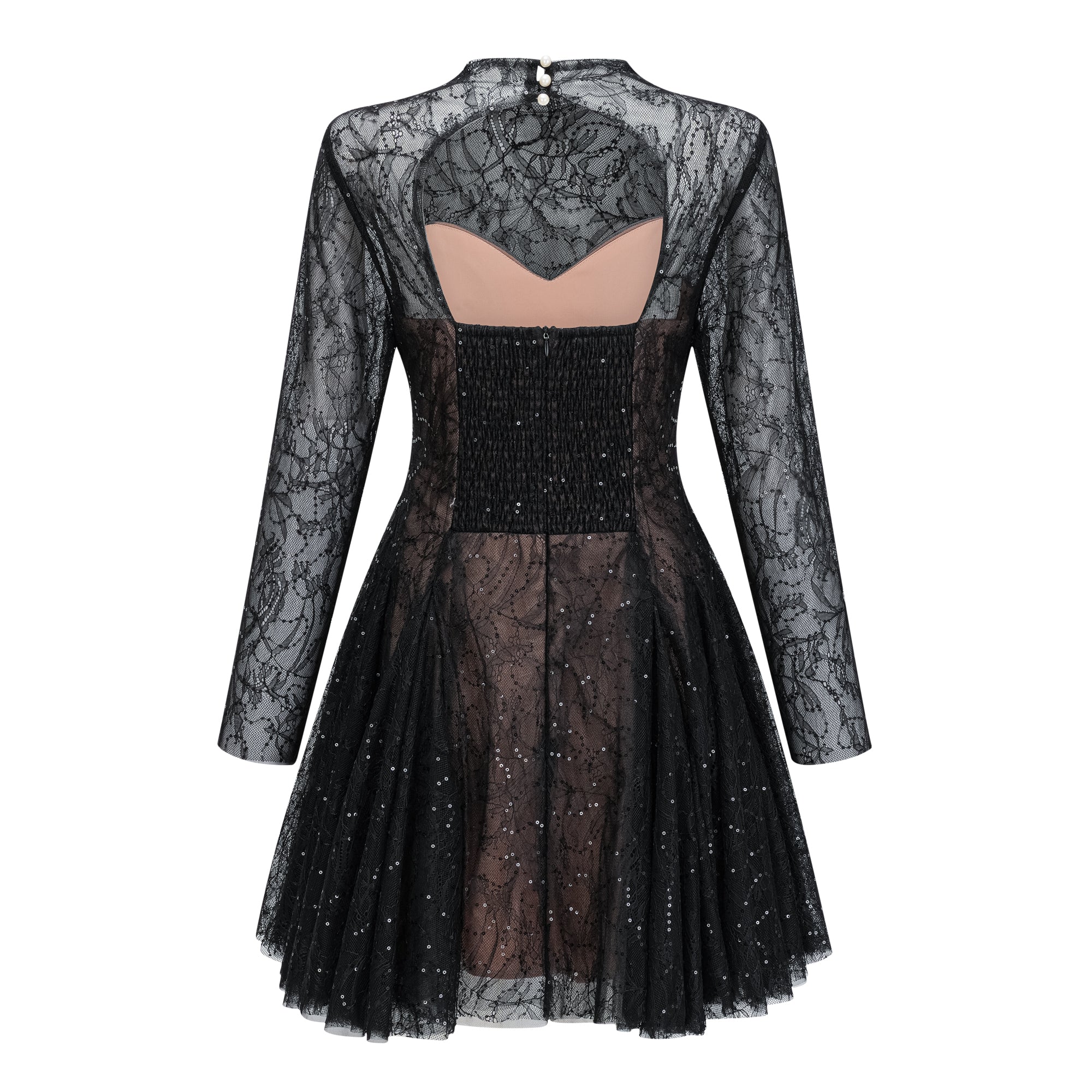 Black Sheer Lace High Neck Long Sleeve Mini Dress