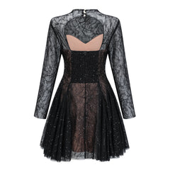 Black Sheer Lace High Neck Long Sleeve Mini Dress