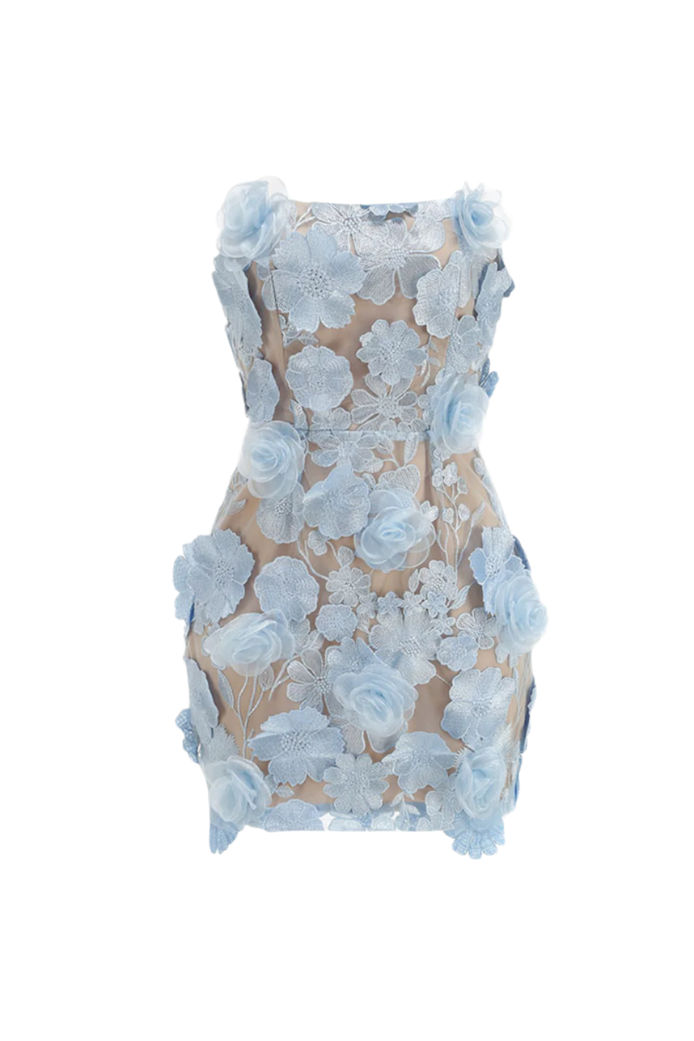 Floral Embroidery Mini Dress in Blue