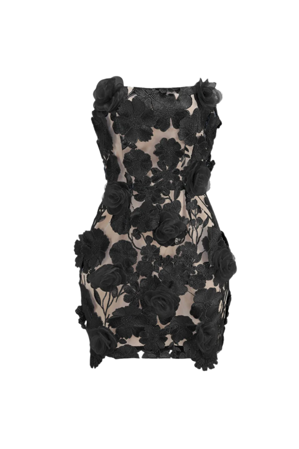 Floral Embroidery Mini Dress in Black