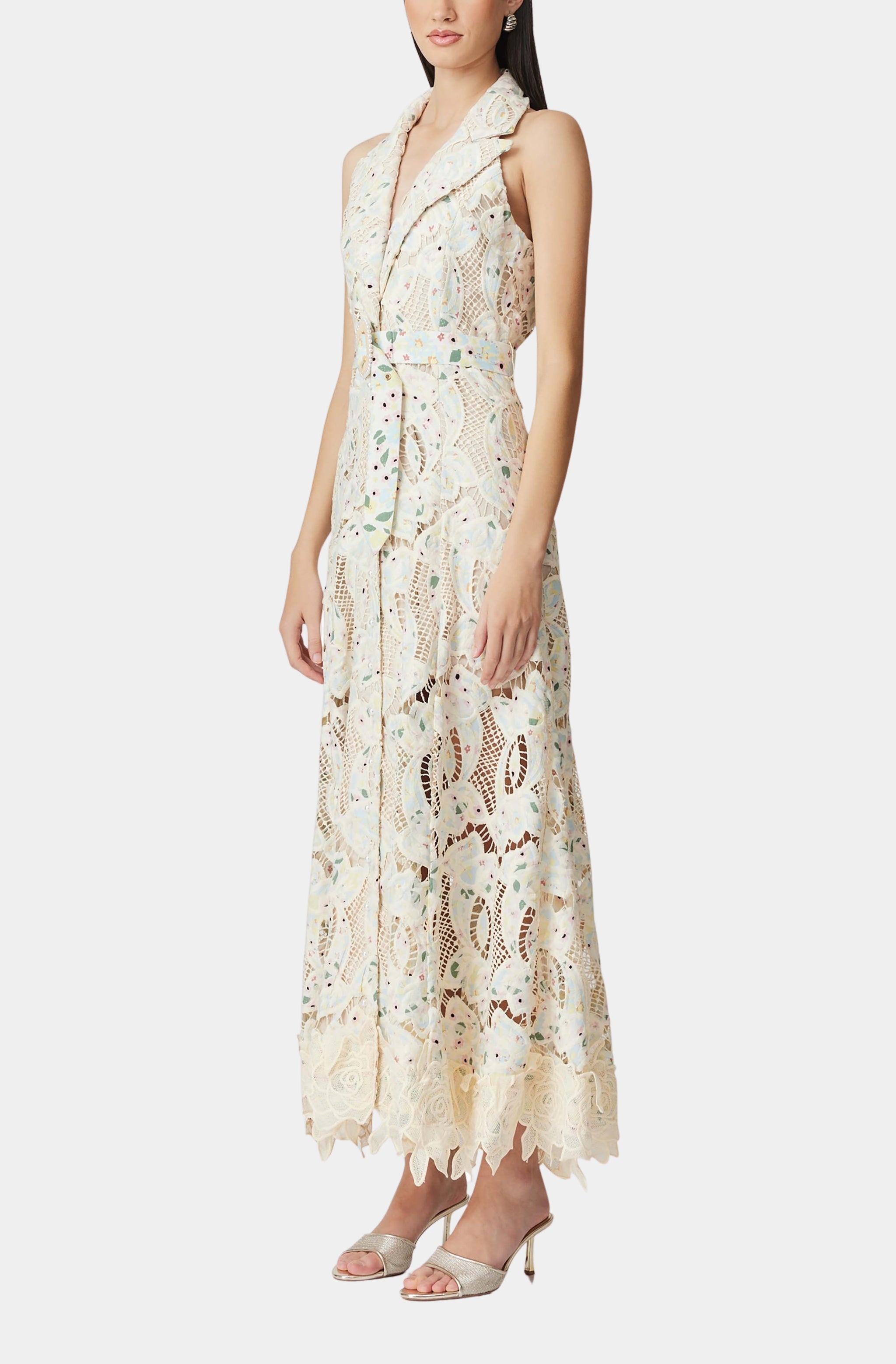 Sleeveless Hollow Lace Maxi Dress in Beige