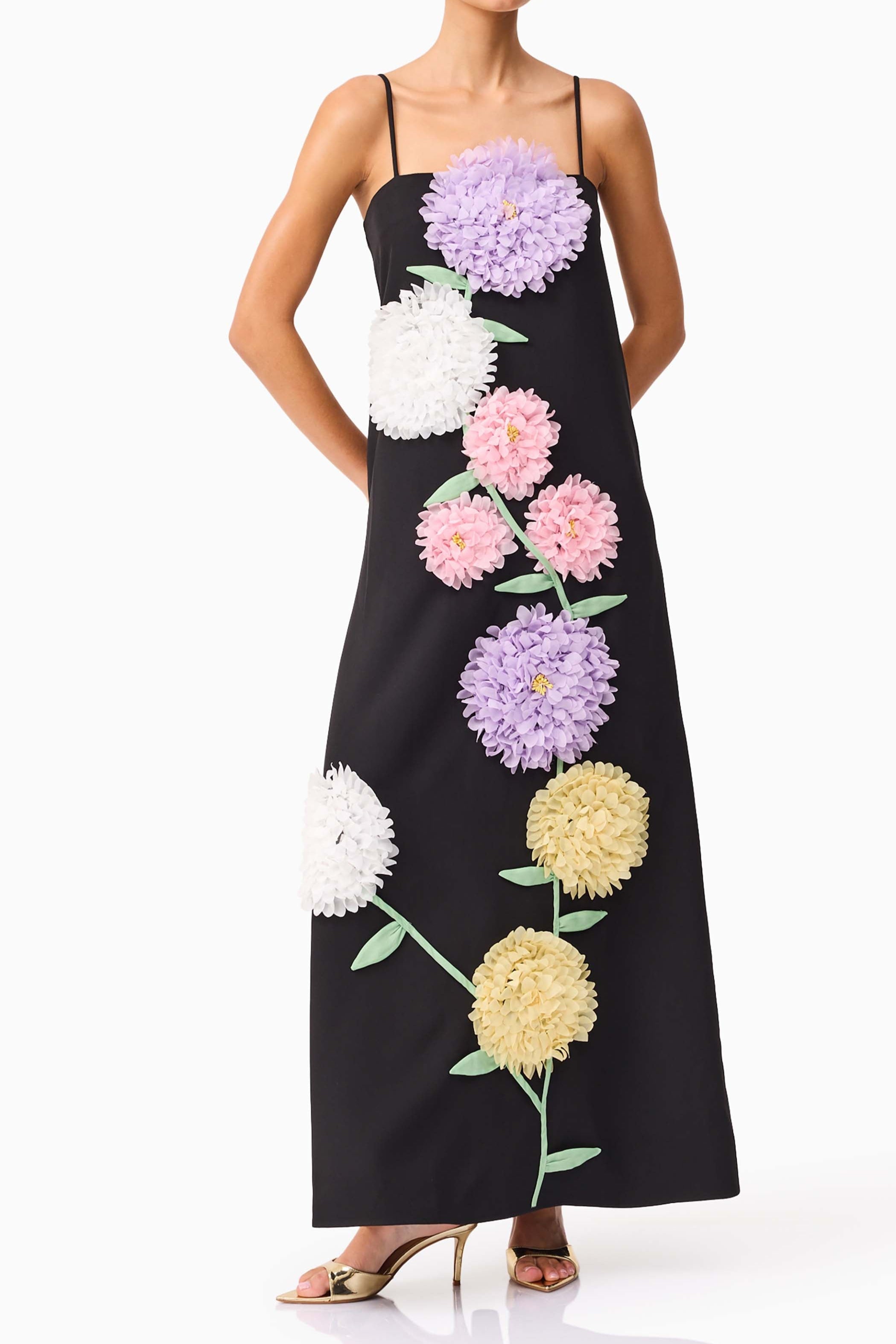 Embroidered Maxi Dress in Black