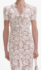 Crystal Detailed V Neck Lace Midi Design Dress