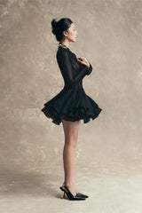 Long Sleeve Mini Dress