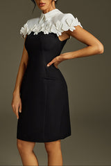 Collar Flower Mini Dress In Black