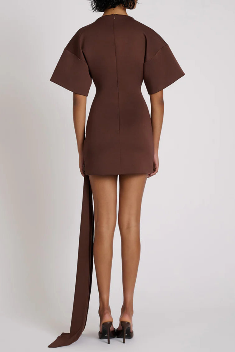 Embellished Mini Dress - Brown
