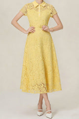 Lace Collared Midi Dress