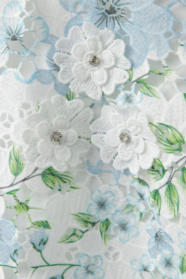 Floral Printed Lace Mini Dress in Sky Blue