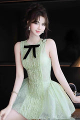 Sleeveless Embroidered Mini Dress in Green