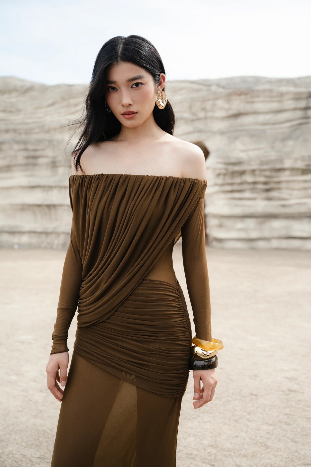 Cara Off-Shoulder Long Sleeve Mesh Maxi Dress in Brown