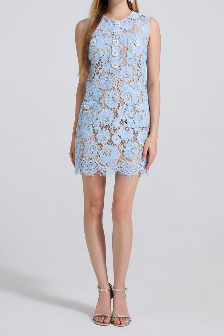 Hollow Pencil Lace Mini Dress in Blue