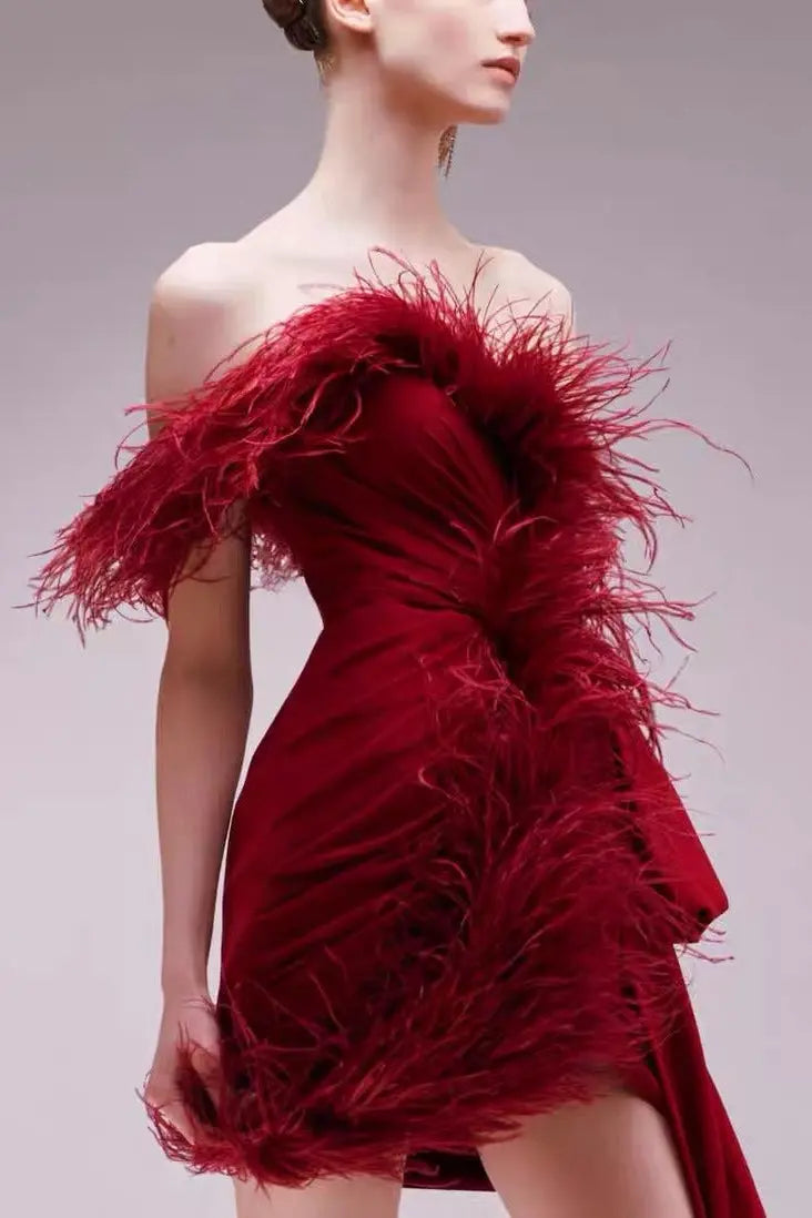 Feather Embellished Mini Dress