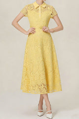 Lace Collared Midi Dress